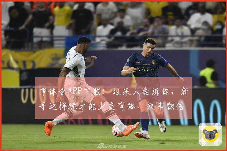 华体会APP下载：过来人告诉你，新手这样玩才能少走弯路，效率翻倍！