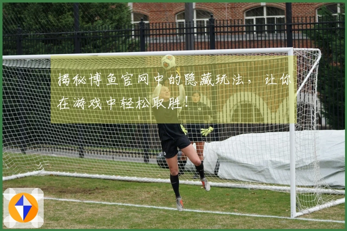 揭秘博鱼官网中的隐藏玩法，让你在游戏中轻松取胜！